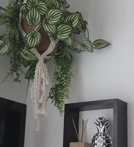 Departamento Tropical En Apartamento *