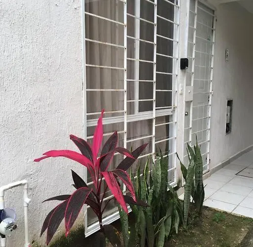 Apartamento Departamento Tropical En *